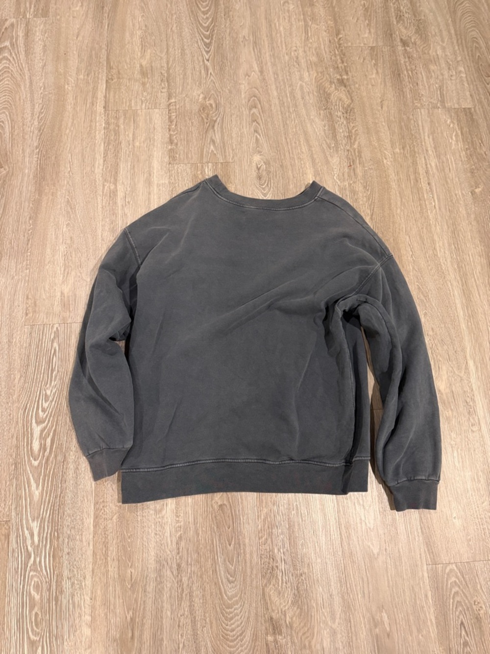 Anine Bing Black Graphic Tiger Crewneck Sweatshirt with Blue Logo - Picture 5 of 5